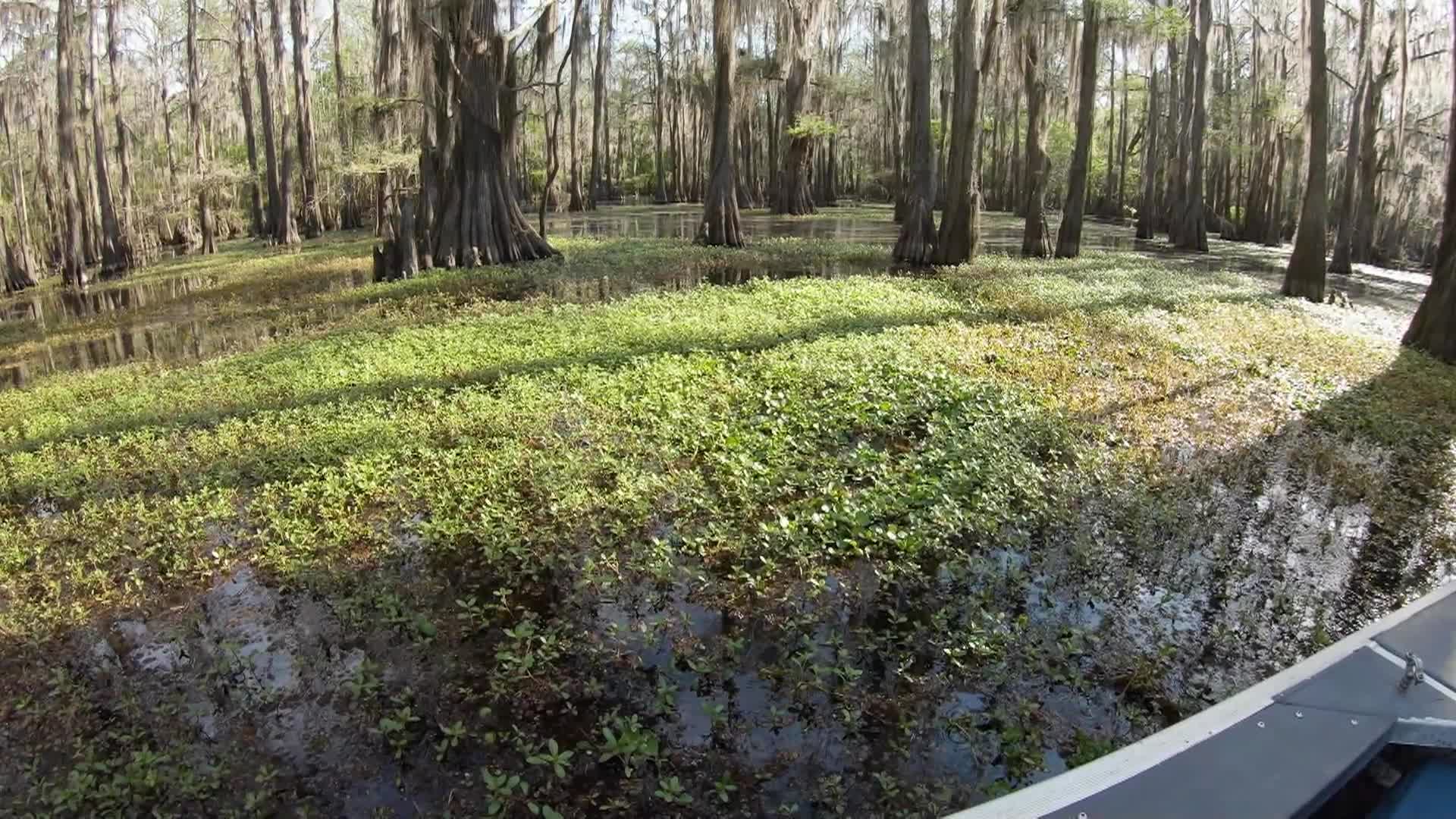 Thumbnail image for Texas Parks and Wildlife Season 34 Episode 7