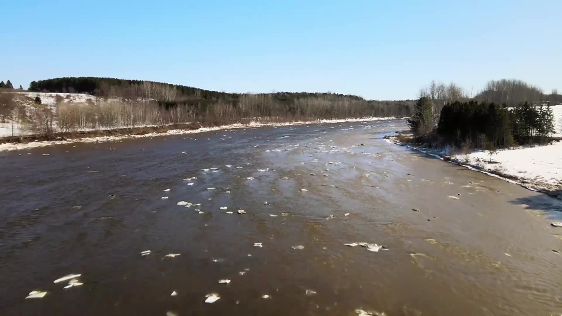 Thumbnail image for Strata - Portraits of Humanity: November 2025