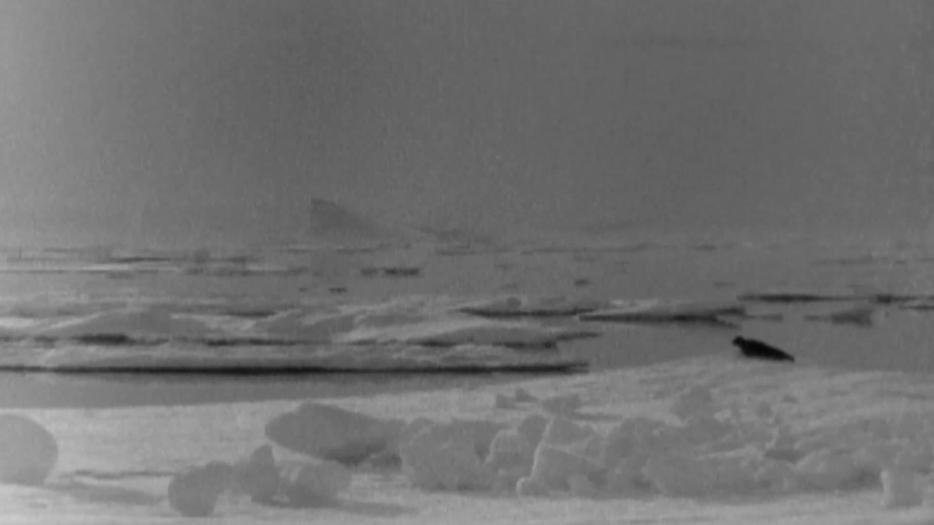 1000 Days For The Planet: The Arctic - The Sinking Of Tradition