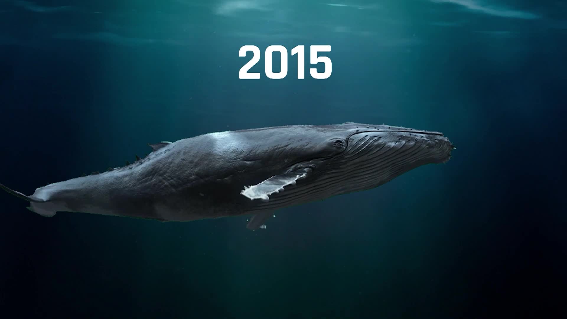 All The Answers #103