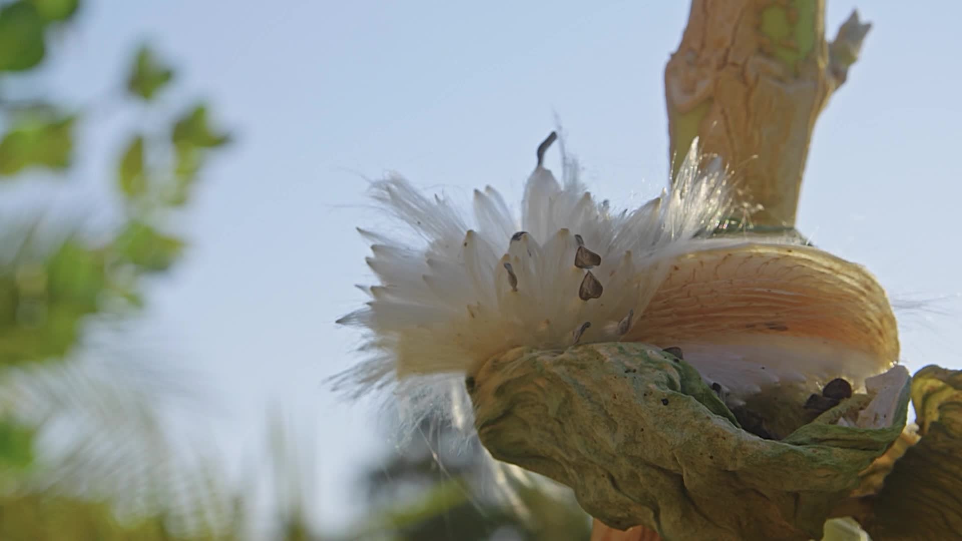 All The Answers #105