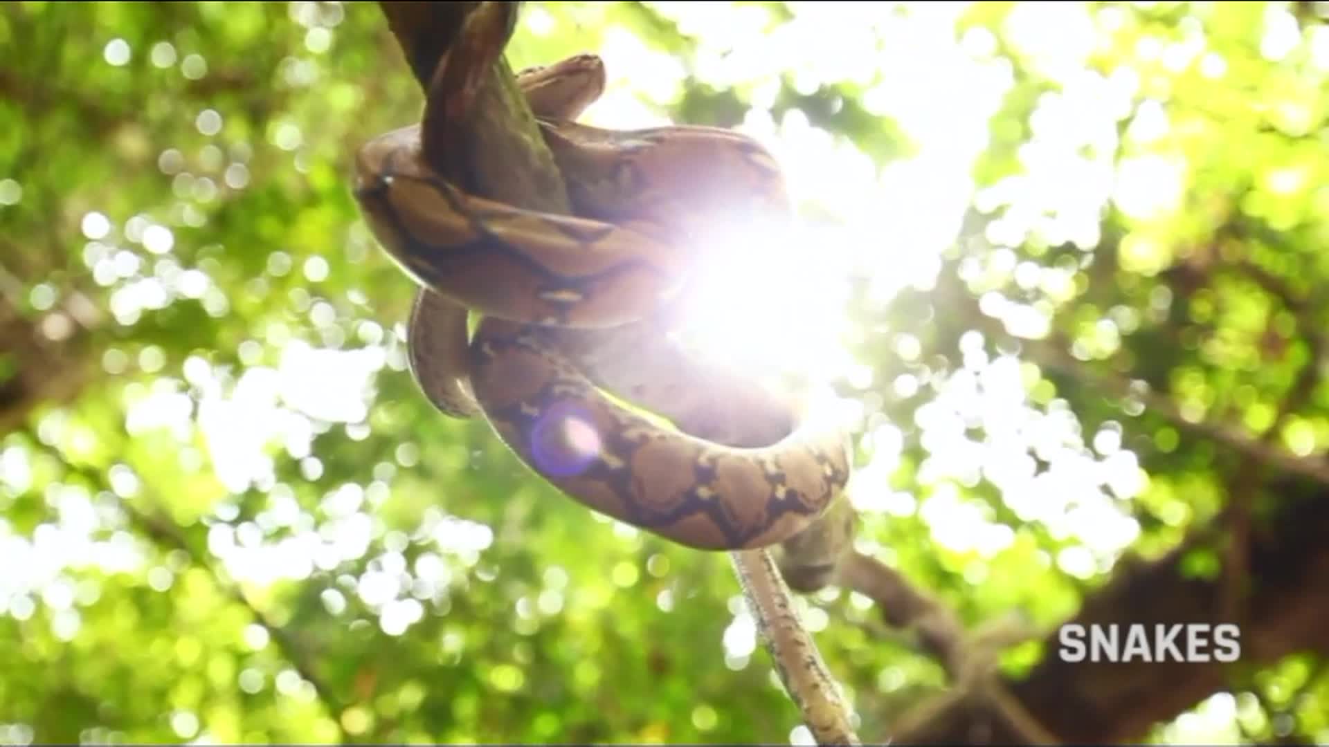 All The Answers #113