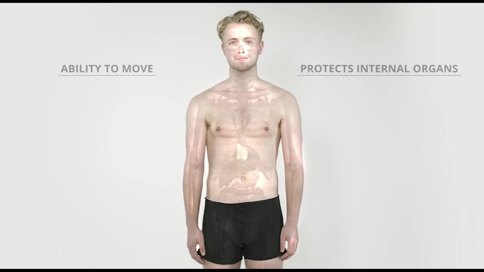 The Human Body: Skeleton and Muscles