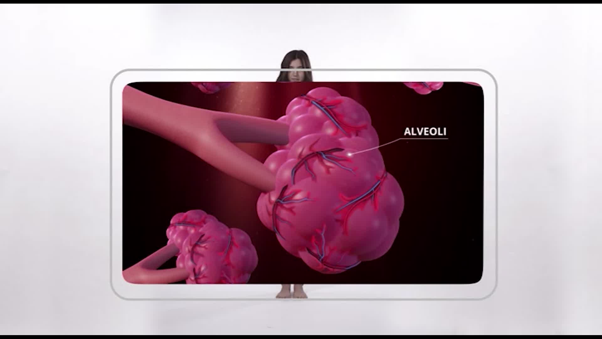 Thumbnail image for The Human Body: Breathing and your lungs