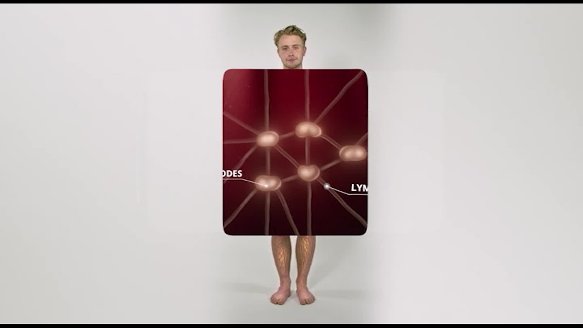 The Human Body: The Immune System