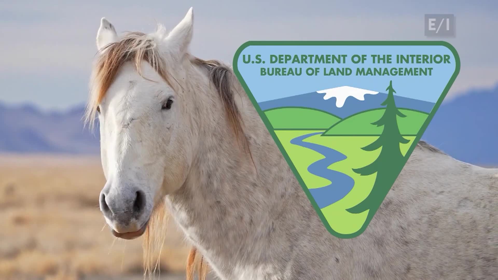 Teen Kids News Season 23 Episode 25