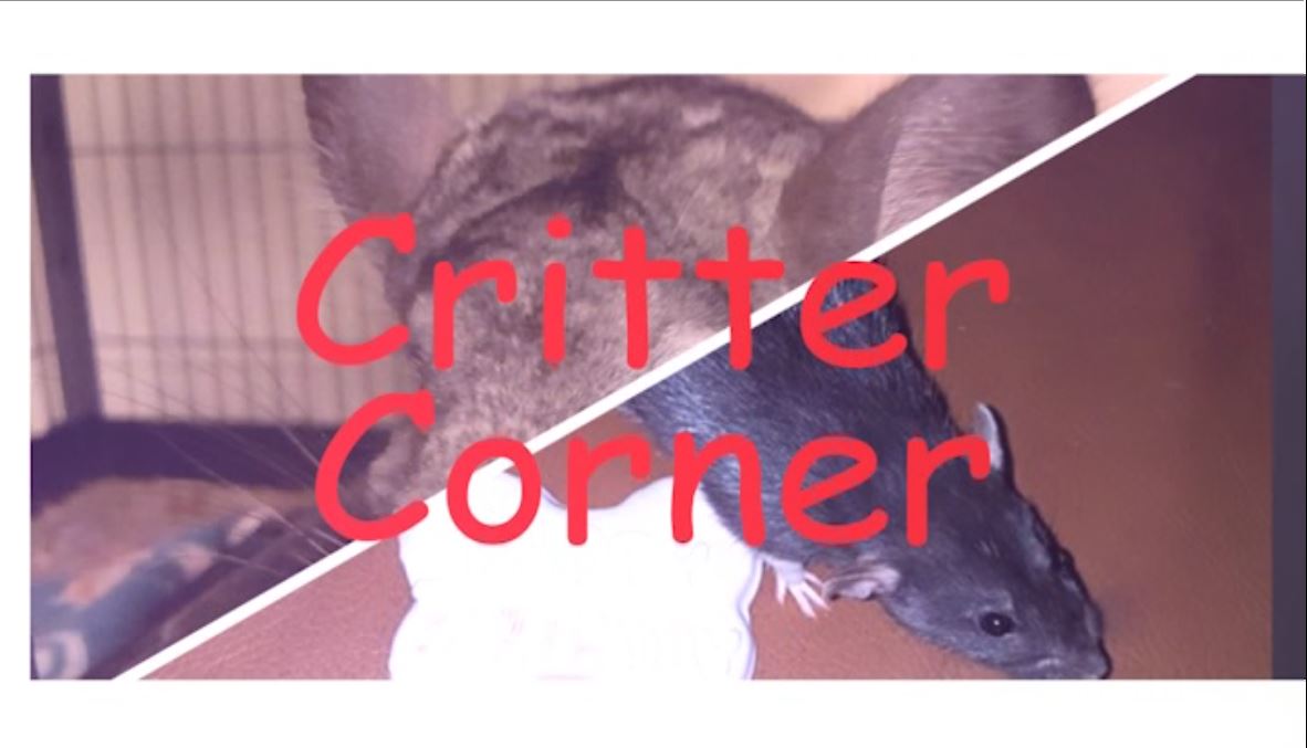 Carolines Critter Corner: Ep 1 - Gaia