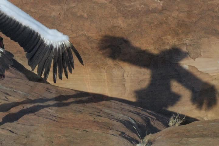 Thumbnail image for Reclaiming Their Voice