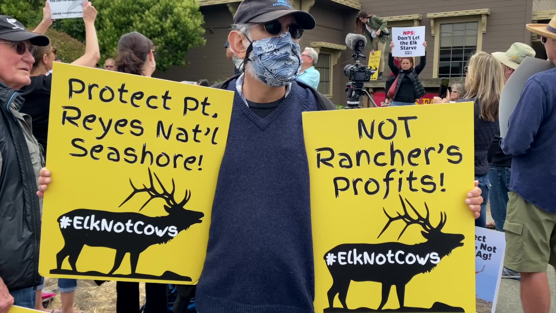 Thumbnail image for Pt. Reyes, A Wilderness in Peril - We Will Not Stand By While The Tule Elk Die