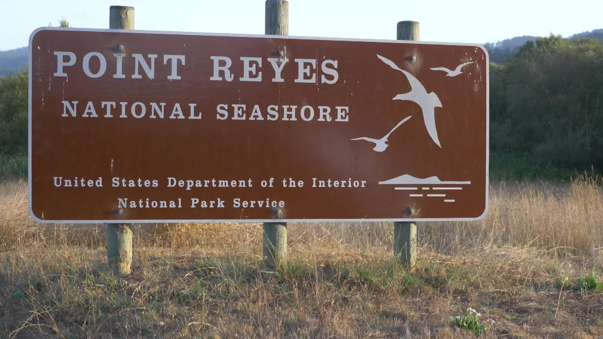 Thumbnail image for Pt. Reyes, A Wilderness in Peril - Water Quality at Pt Reyes National Seashore and Effects on Marine Life