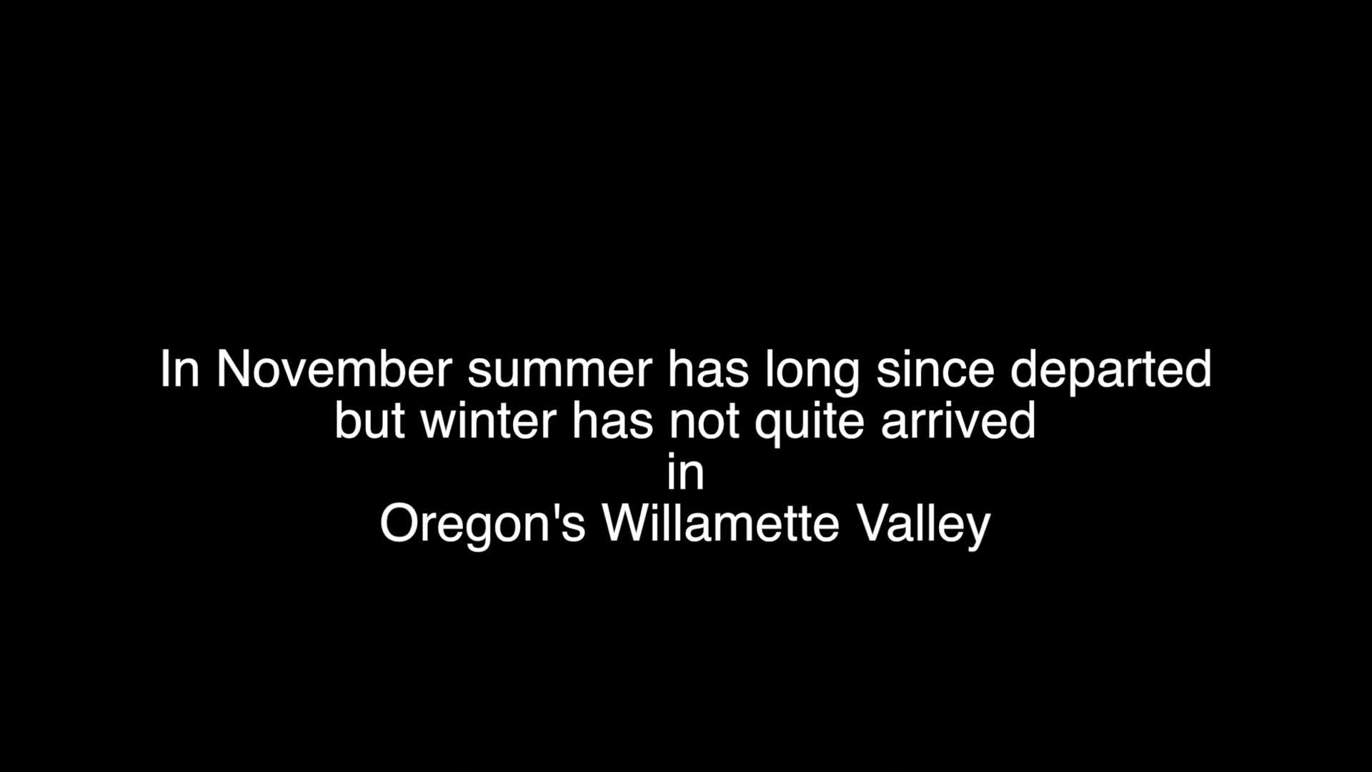 Thumbnail image for November Into Winter