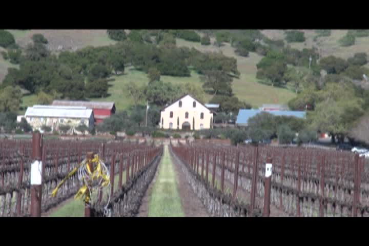 Wine Country at Work: Visiting Regusci Winery