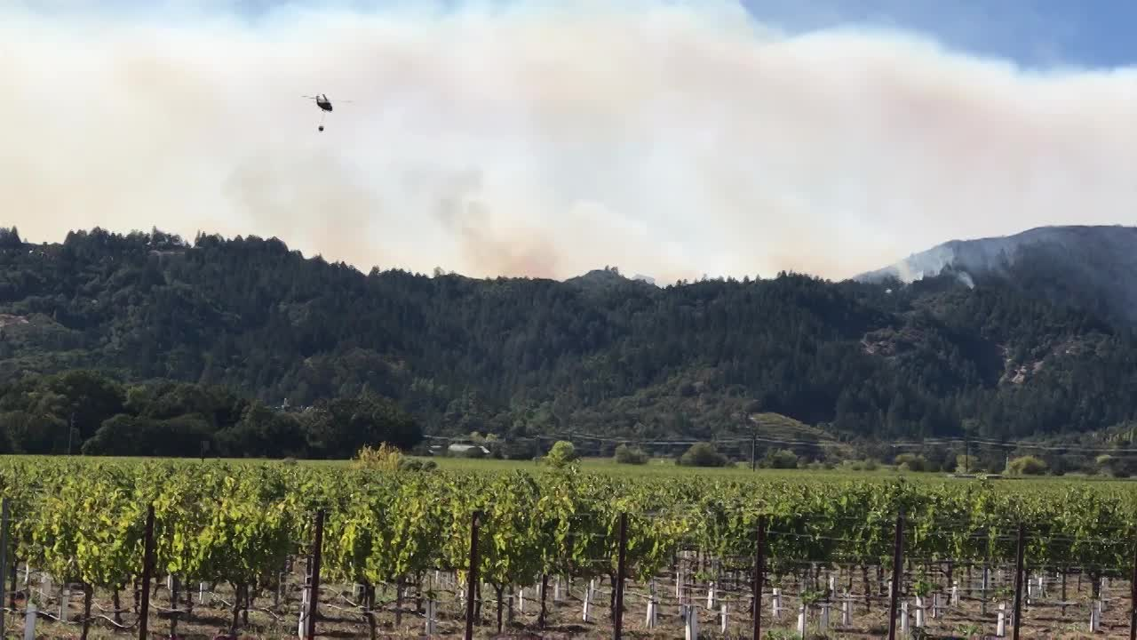 Thumbnail image for Wine Country at Work: Smoke in Wine Country