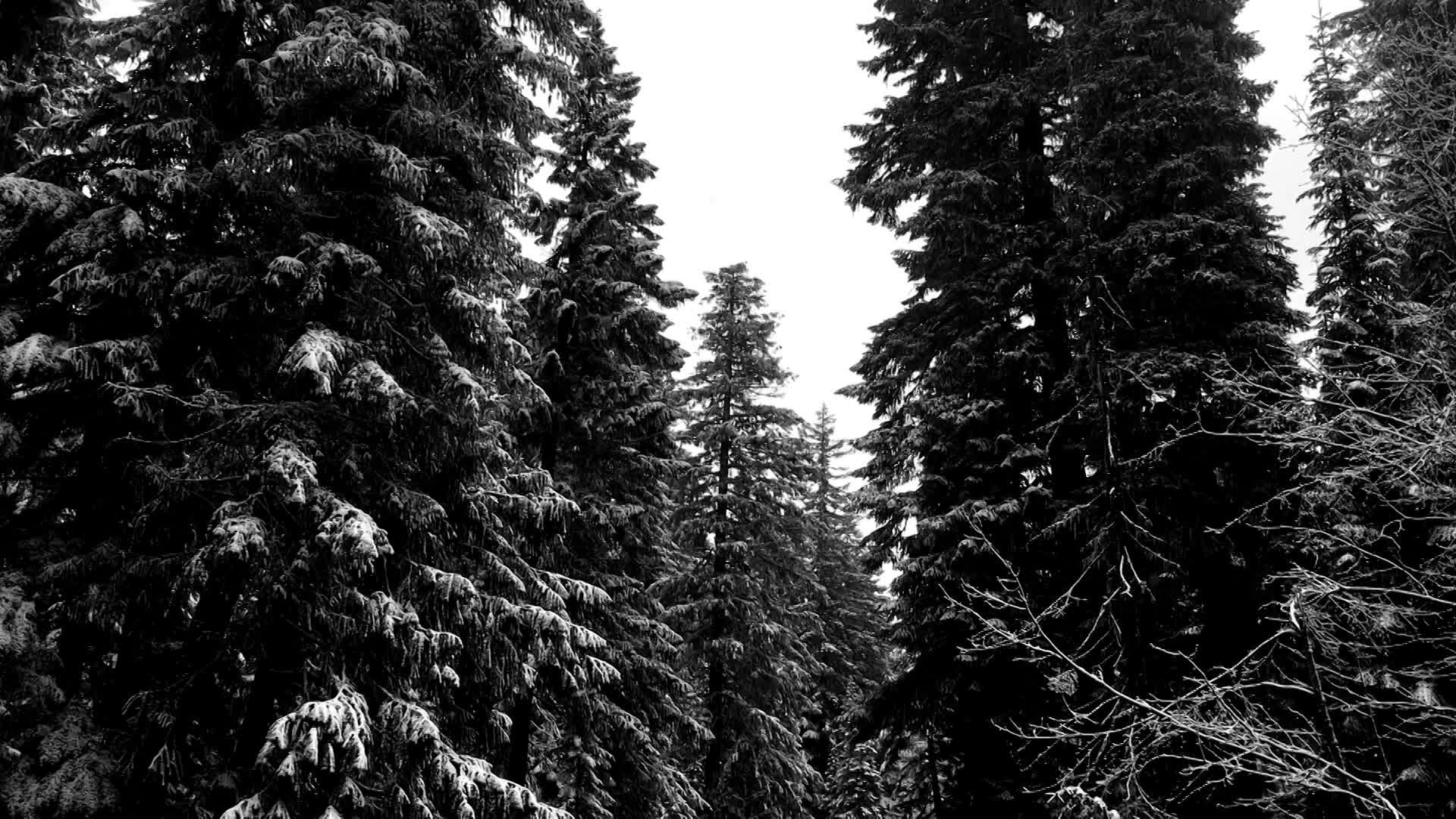 Thumbnail image for Wintry Water