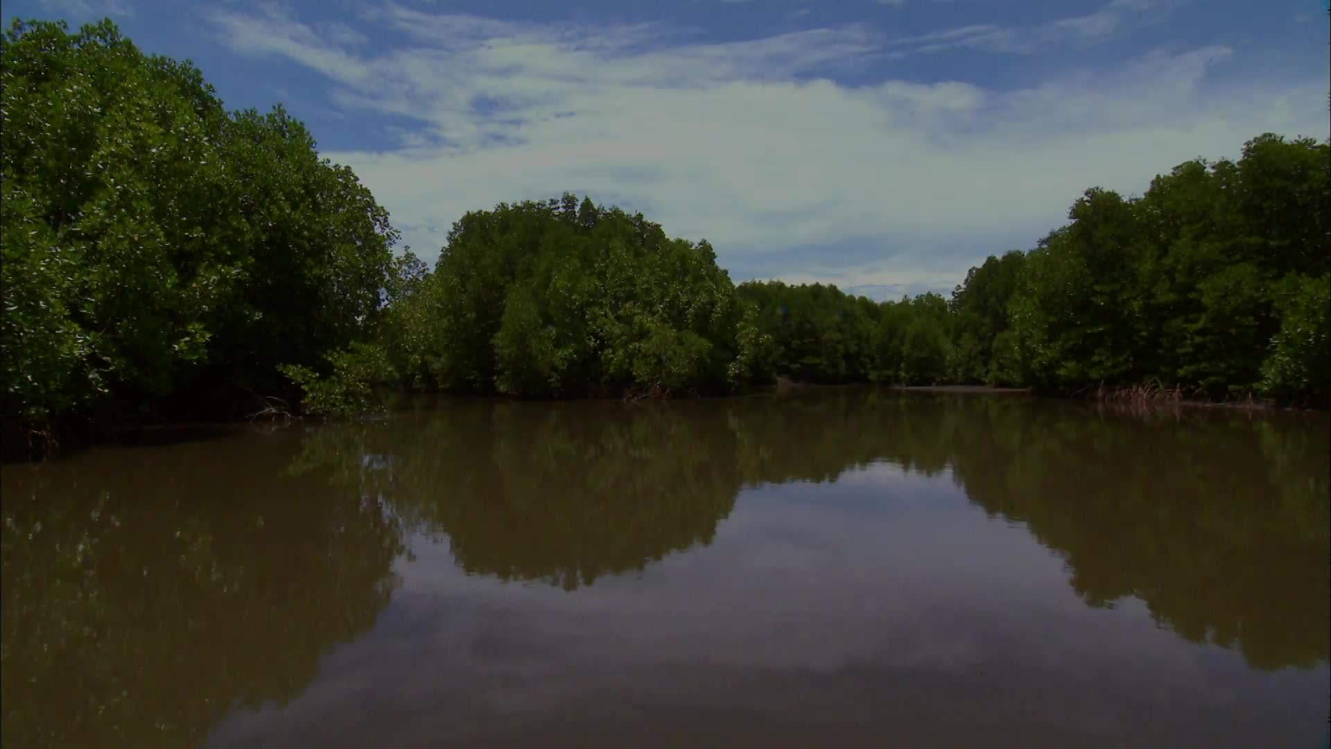More Children of the World: Cambodia - Living in Harmony with Nature - Children of the Mangrove Forest
