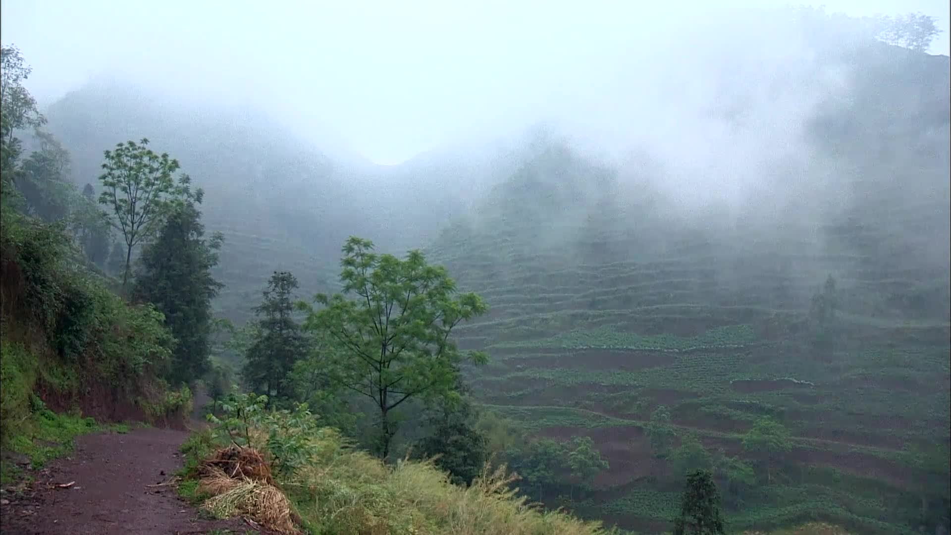 Thumbnail image for More Children of the World: Guizhou Province, China - The Road to School