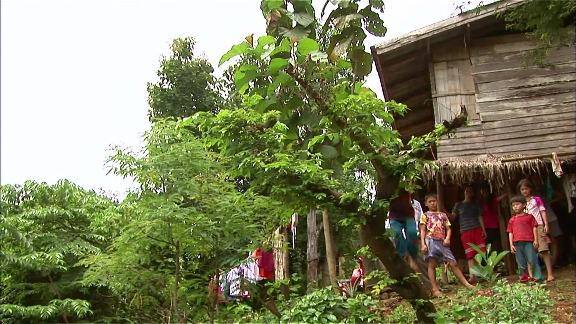 Thumbnail image for More Children of the World: Thailand - Children of the Golden Triangle