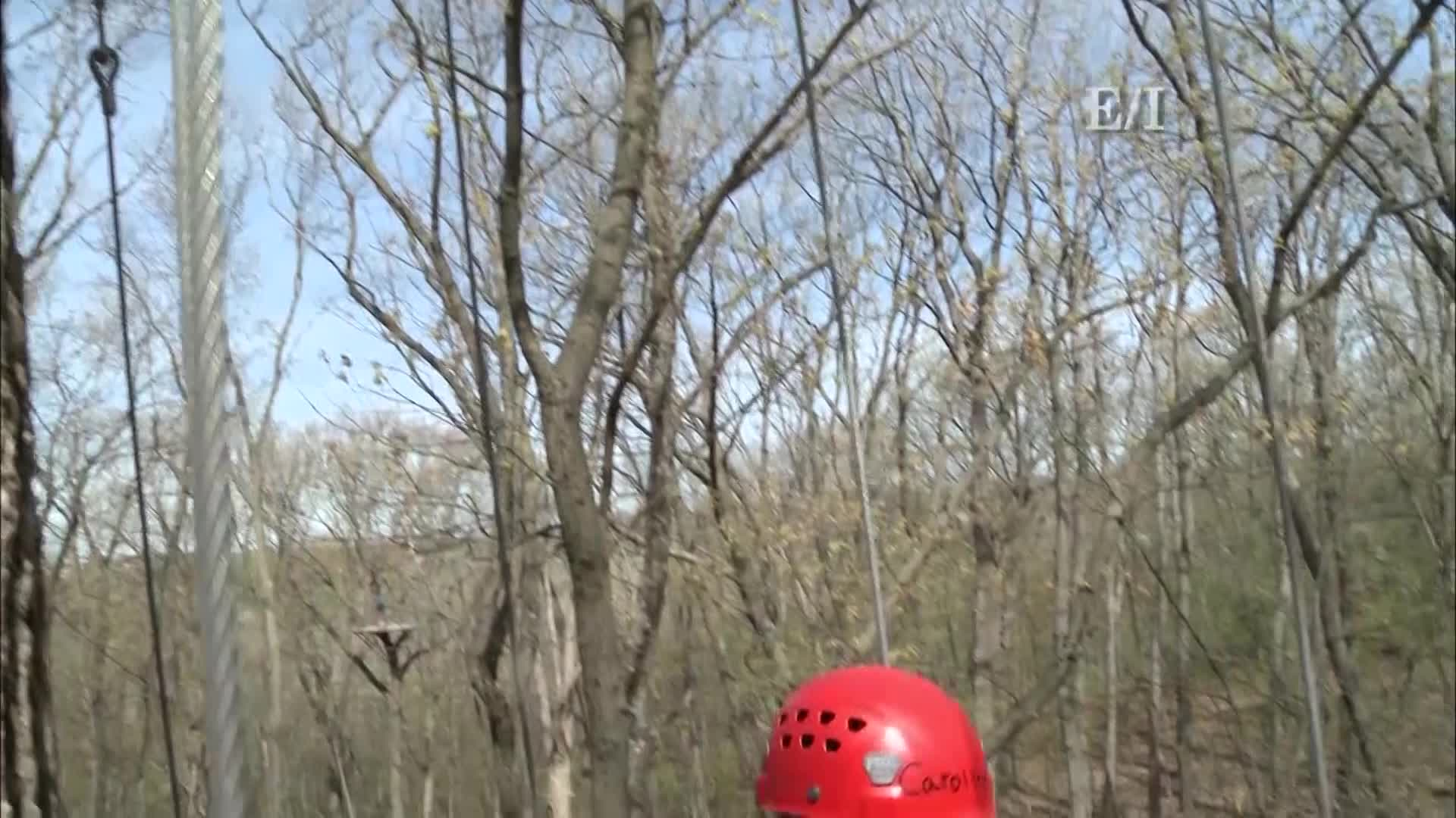 Into the Outdoors - Encouraging A Connection to Nature: Understanding Forest Management & Related Ecosystems