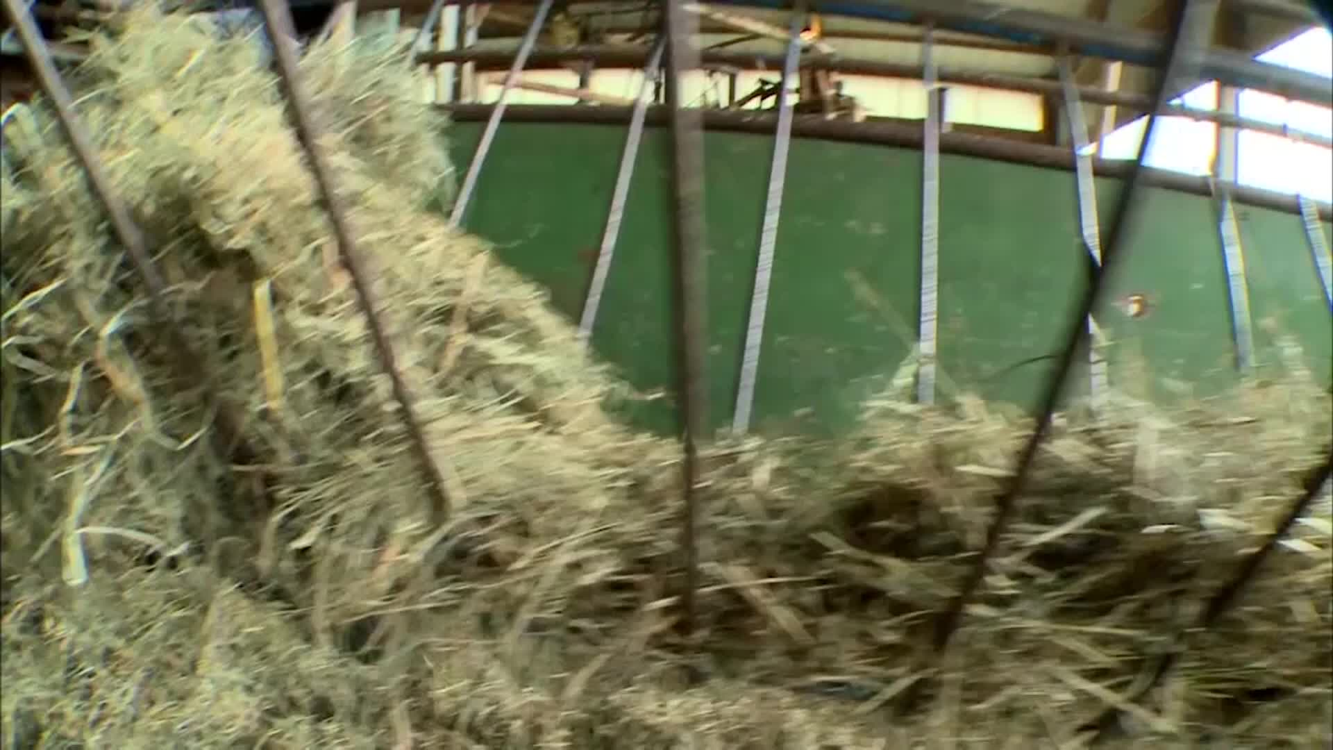 Thumbnail image for Into the Outdoors - Encouraging A Connection to Nature: The Science & Farming Practices Of The Beef Industry