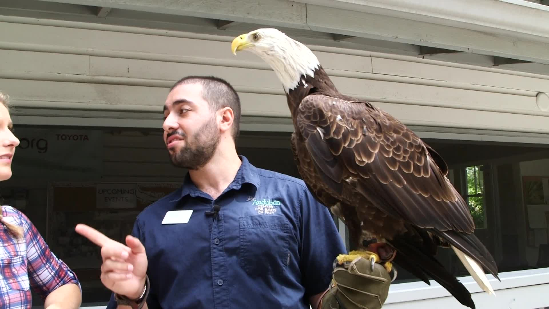 Thumbnail image for Real Life 101: Audubon Society Education Manager/HVAC Technician/Child Therapist