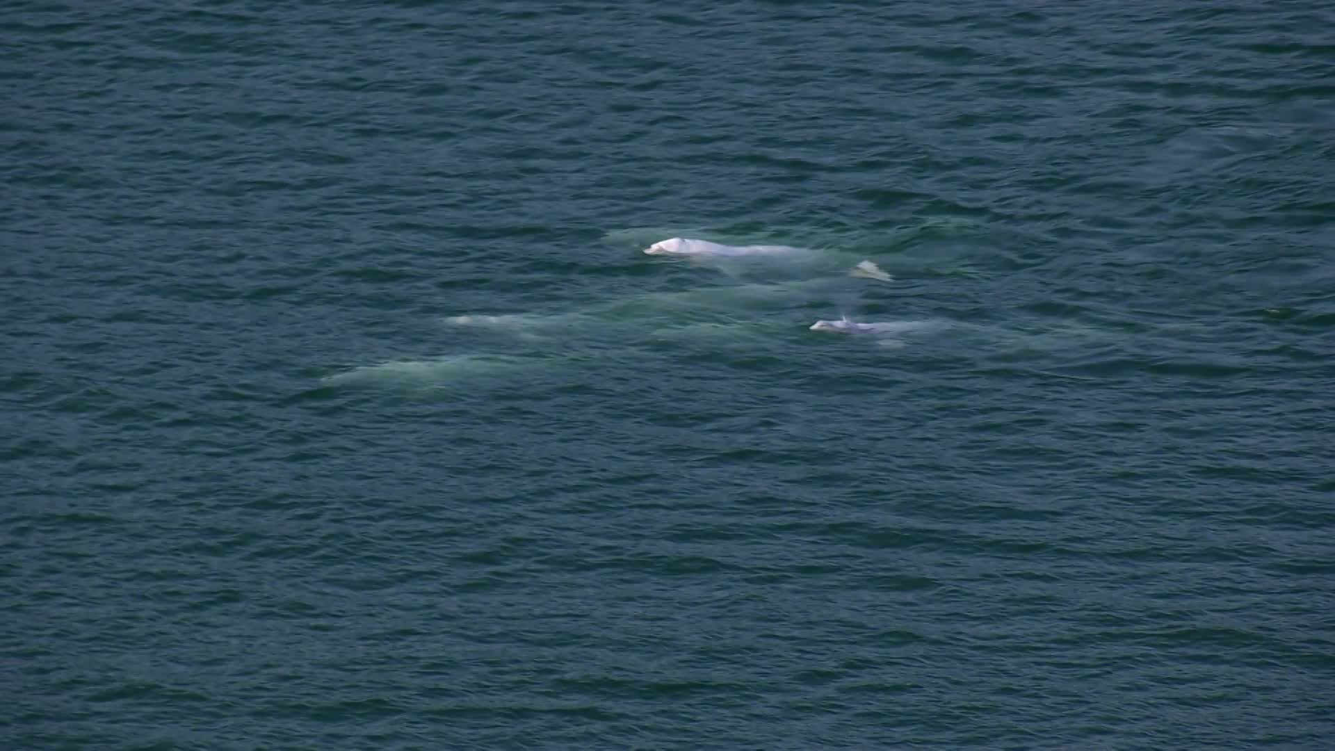 Thumbnail image for Sites For Your Eyes: Quebec, Canada