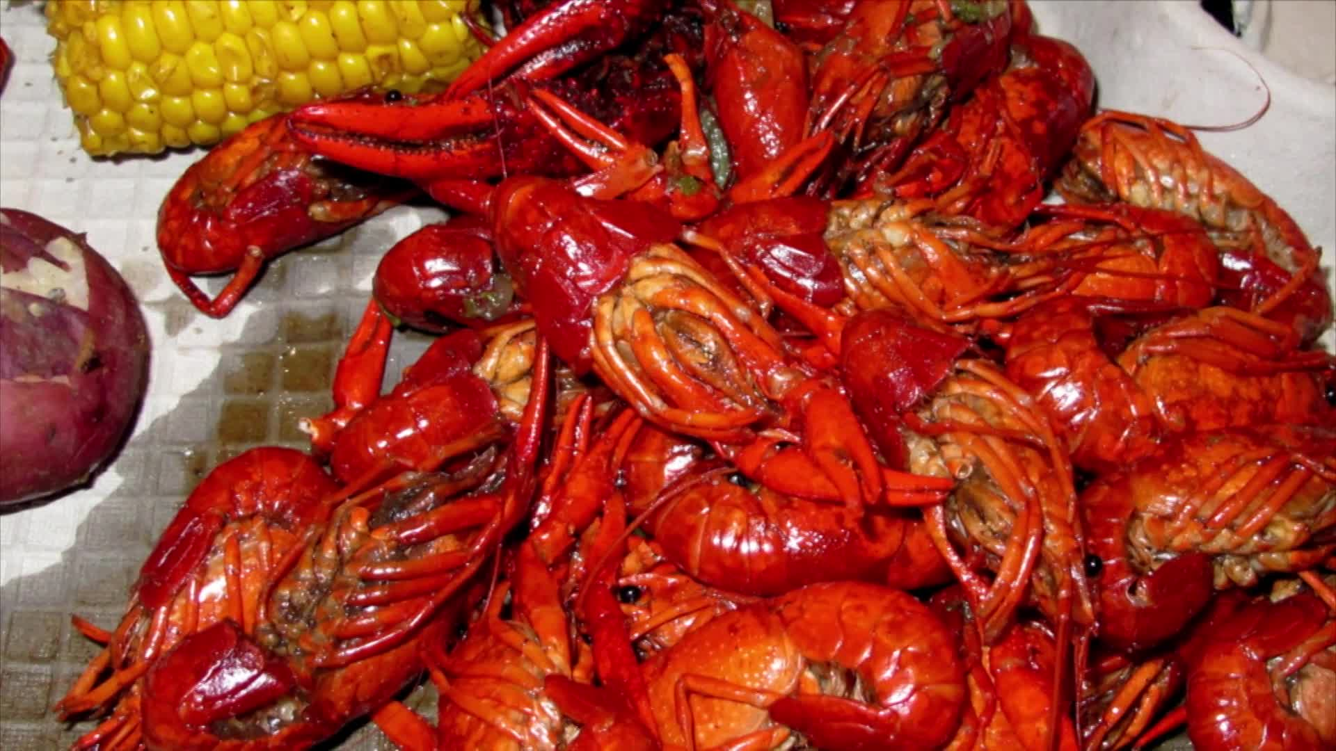 Travel Thru History: New Orleans