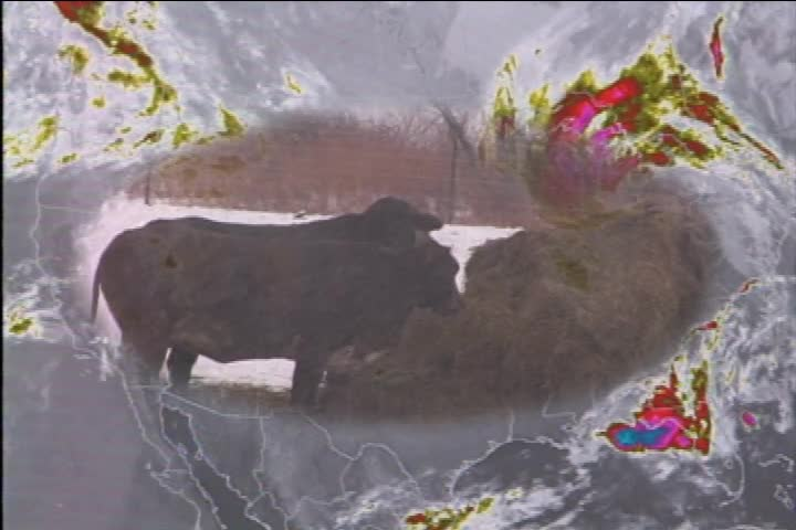 Thumbnail image for Core Meteorology: Climates