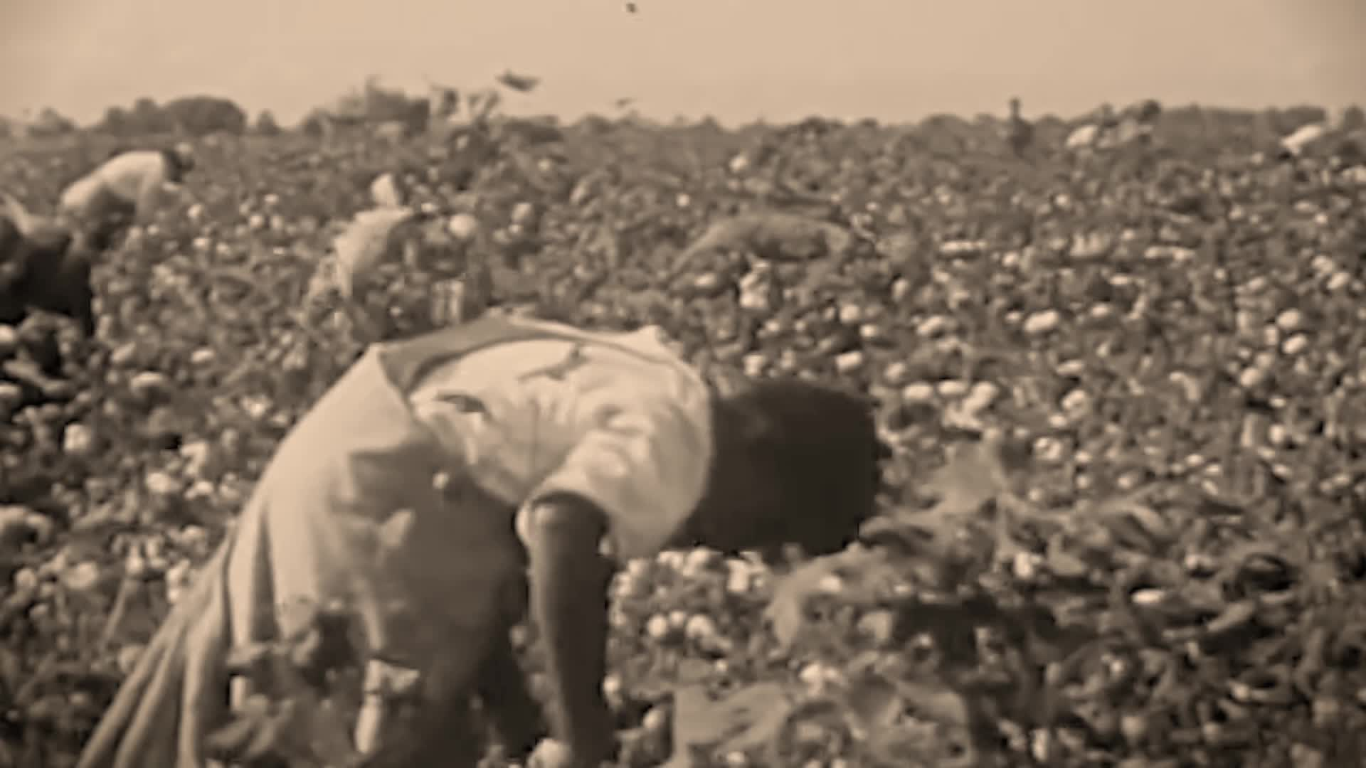 Thumbnail image for Genius of African-American Music: Soul