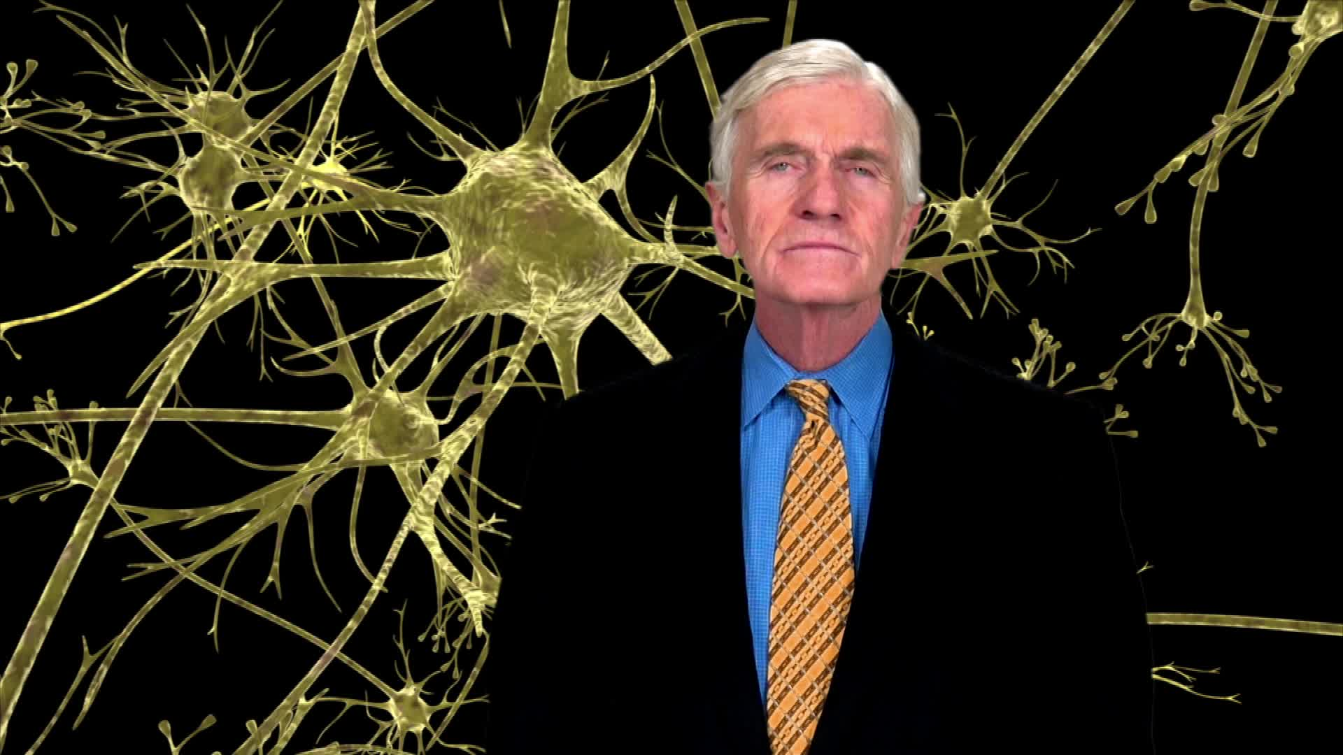 Neuroscience - Understanding the Brain: The Brain, Computers, and Technology