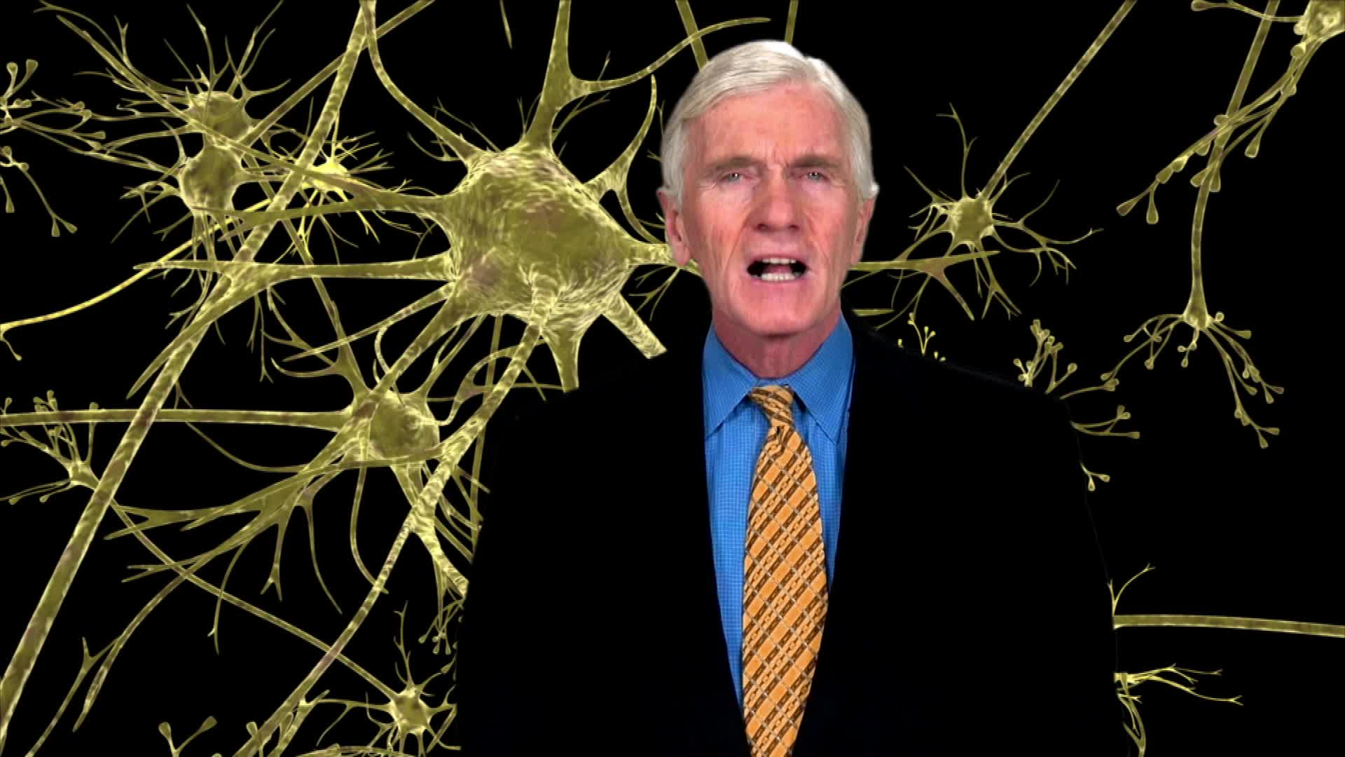 Neuroscience - Understanding the Brain: The Developing Brain